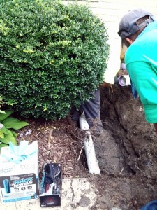 Sewer Line Replace - Install New PVC Sewer Line